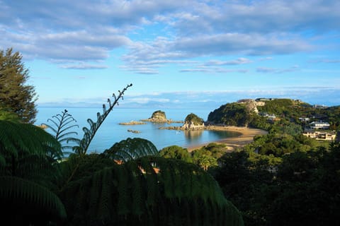 View from lounge deck
