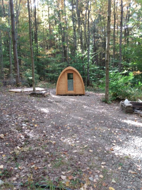 Fox's Den Pod