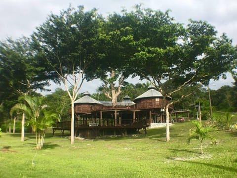 The Treehouse in the Cayo District of Belize, steps away from the Mopan River.