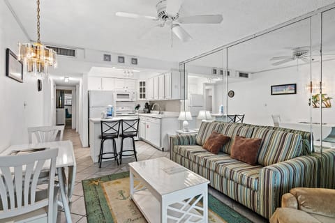 Living and Kitchen Area