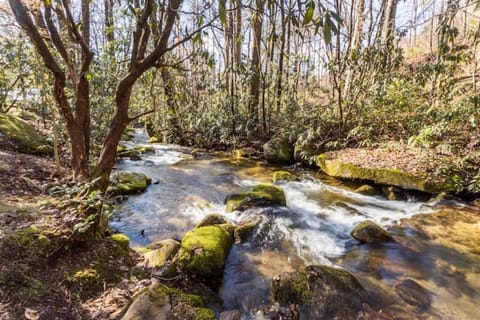 Back Yard Creek
