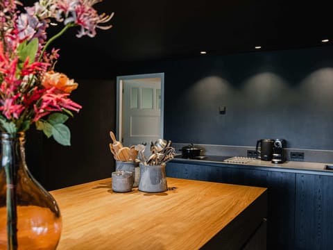 House | Private kitchen | Highchair