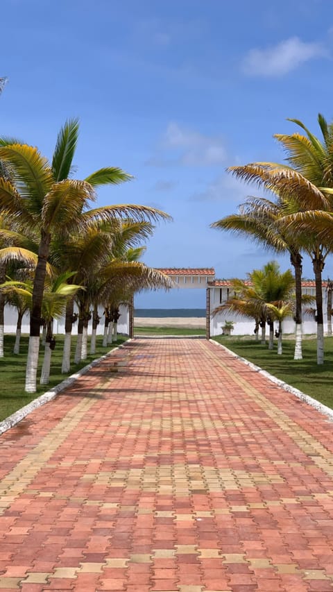 On the beach, beach towels