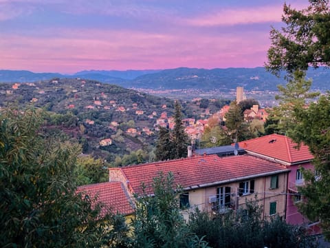 View from private terrace - Arcola historical/medieval village in center