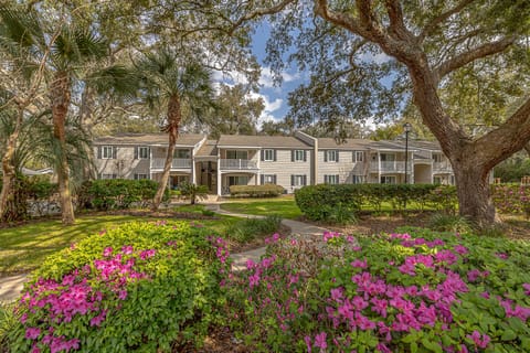 Beautiful grounds at the Ocean Walk Condos