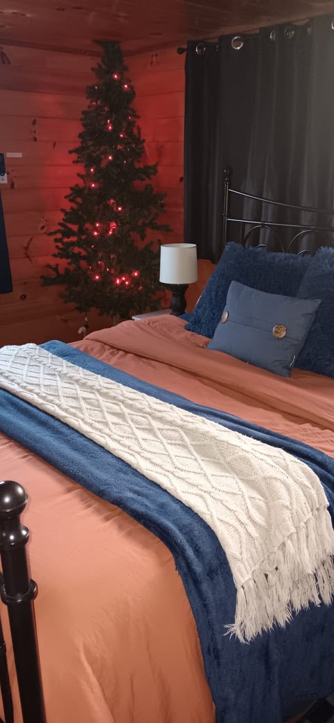cabin in winter