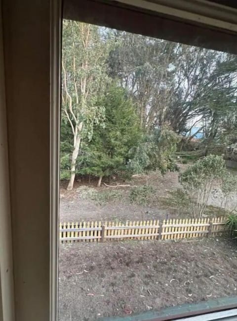 Window looking to the side of the house with matured trees.