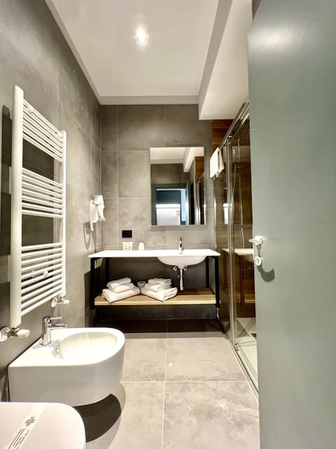 Shower, hair dryer, bidet, towels