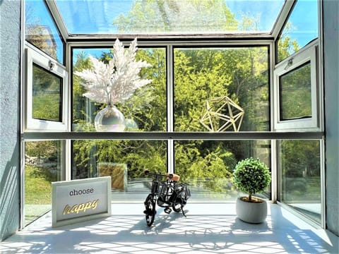 Peek through our glass window and discover a world of mini wonders! Our charming mini decors add a touch of whimsy and delight to your view.