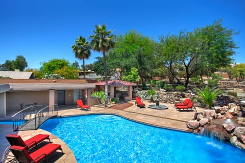 Resort style backyard
