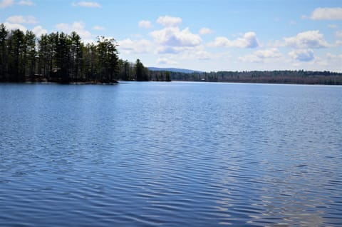 Beautiful Chemo Pond