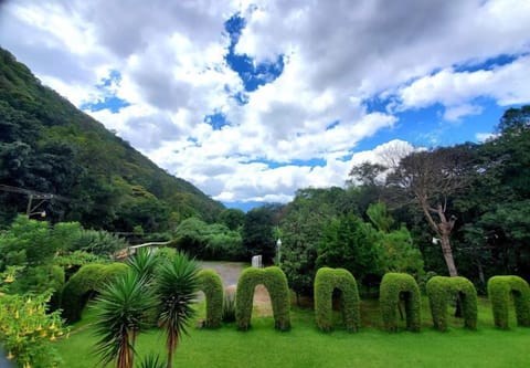 Garden view