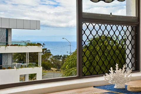 View from Dining table