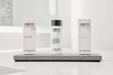 Shower, hair dryer, bathrobes, slippers