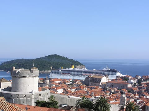 Naslovnica