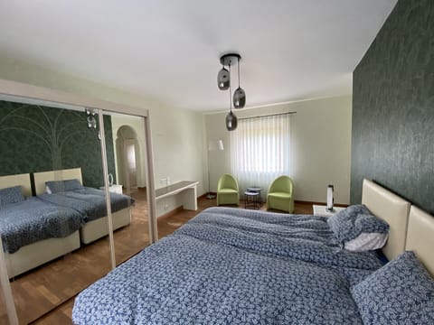 Premium Double Room | Minibar, individually decorated, soundproofing, free WiFi