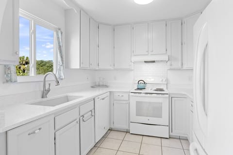 23-Inlet-Beach-Dream-Kitchen
