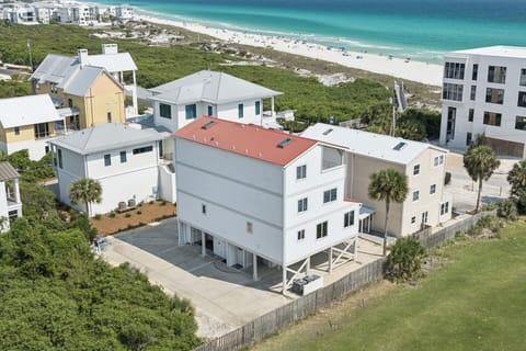 Inlet Beach Dream Drone