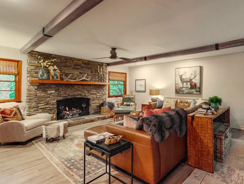 Mountain chic living room 