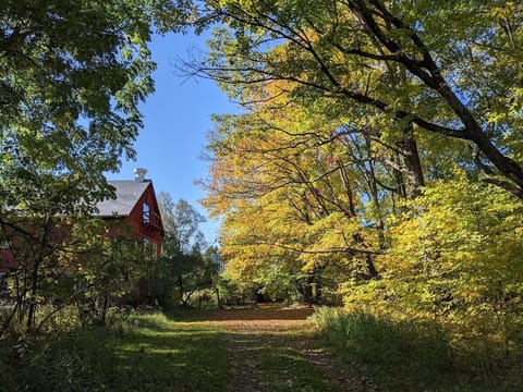 Fall is an incredible time of year in the Northwoods.