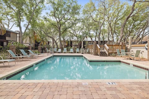 Enjoy this Pool with a Cold Beverage