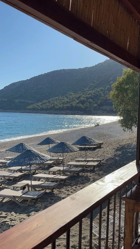 Private beach, white sand, free beach shuttle