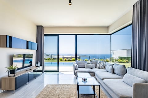 Deluxe Villa | Living area | 43-inch Smart TV with satellite channels, TV