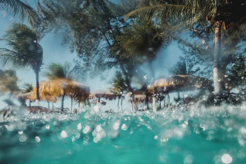 Outdoor pool, free cabanas, pool umbrellas