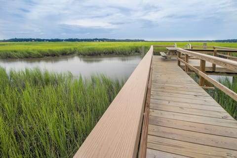 Private dock leads to seemingly endless marsh. Brilliant for birdwatchers.
