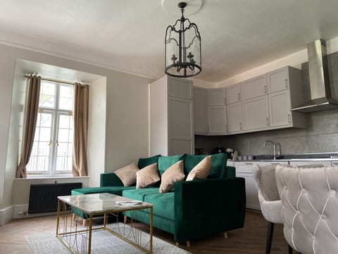 Deluxe Apartment | Individually decorated, individually furnished, iron/ironing board