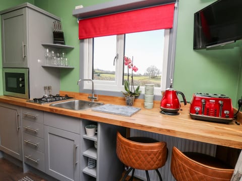 Fridge, electric kettle, cookware/dishes/utensils