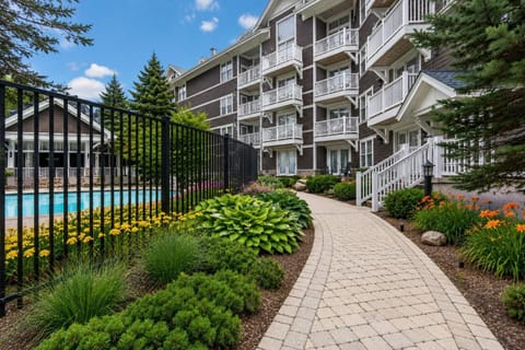 Allegheny Springs 111 welcomes you to unwind in this cozy Village studio featuring poolside views, unbeatable convenience, and the perfect mountain escape!