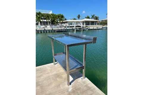 Fish cleaning station