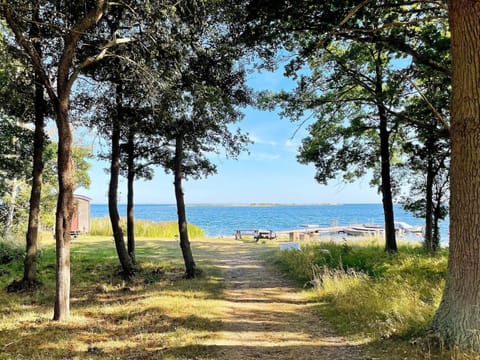 House | Property grounds