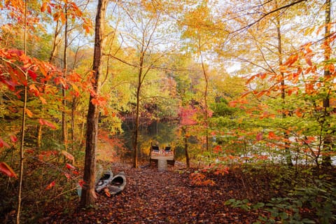 Scenic Dock Retreat: Unwind by the tranquil waters surrounded by vibrant autumn foliage!