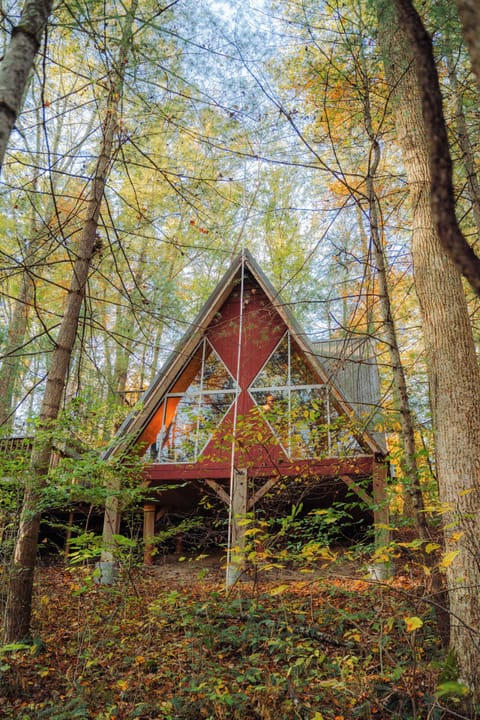 Charming A-Frame Cabin: Embrace nature with stunning views and vibrant autumn colors!