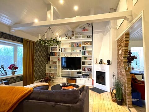 House | Living area | Fireplace, DVD player