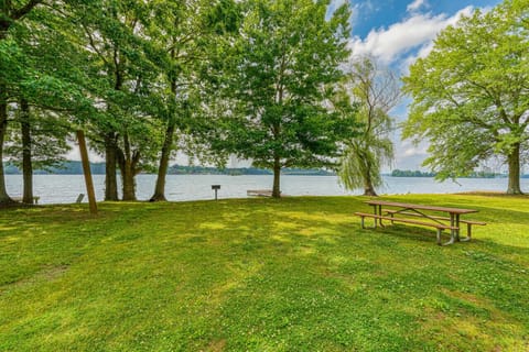 Picnic table and grill in back yard