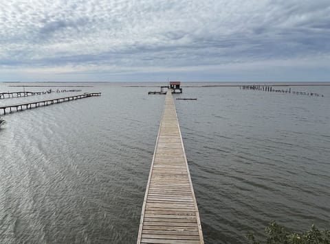 Pier to Slips and Pier Shack