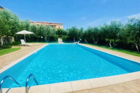 Shared pool