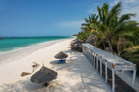 On the beach, white sand, beach bar
