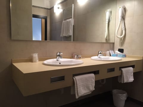 Suite | Bathroom | Shower, free toiletries, hair dryer, bidet