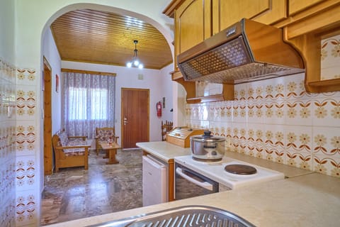 Theodora Apartment 2 Agios Stefanos Corfu Kitchen 