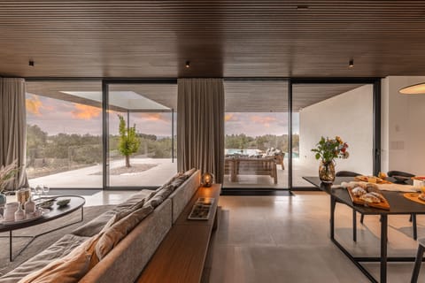 Deluxe Villa | Living area