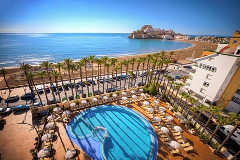 Outdoor pool, sun loungers