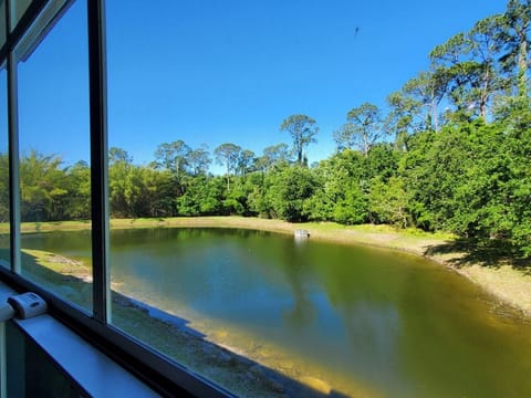 View from Master Bedroom