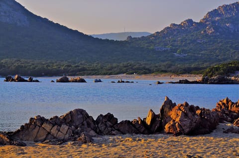 Beach