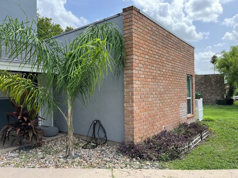 Outside view, that queen palm has grown a lot lately.