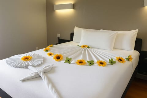 Desk, blackout drapes, WiFi (free), bed sheets