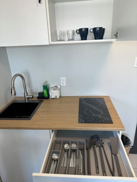 Comfort Room, 1 King Bed, Kitchenette | Private kitchenette | Fridge, microwave, coffee/tea maker, eco-friendly cleaning products